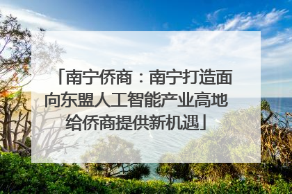 南宁侨商：南宁打造面向东盟人工智能产业高地给侨商提供新机遇