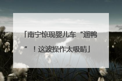 南宁惊现婴儿车“遛鸭”！这波操作太吸睛
