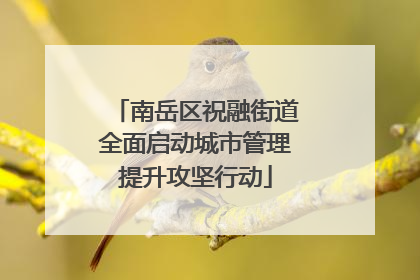 南岳区祝融街道全面启动城市管理提升攻坚行动