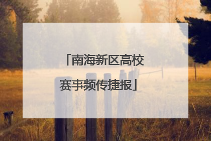 南海新区高校赛事频传捷报