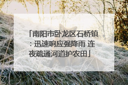 南阳市卧龙区石桥镇：迅速响应强降雨 连夜疏通河道护农田