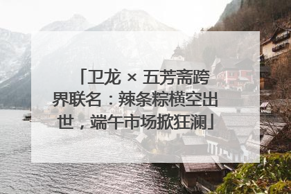卫龙 × 五芳斋跨界联名：辣条粽横空出世，端午市场掀狂澜