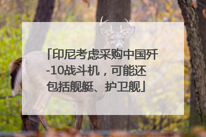 印尼考虑采购中国歼-10战斗机，可能还包括舰艇、护卫舰