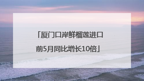 厦门口岸鲜榴莲进口 前5月同比增长10倍