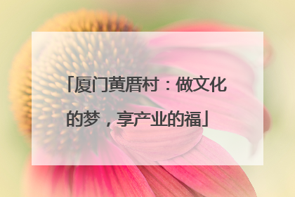 厦门黄厝村：做文化的梦，享产业的福