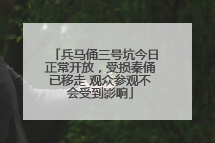 兵马俑三号坑今日正常开放，受损秦俑已移走 观众参观不会受到影响