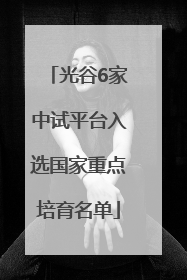 光谷6家中试平台入选国家重点培育名单