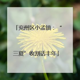 兖州区小孟镇：“三夏”收割话丰年