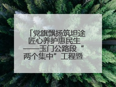 党旗飘扬筑坦途 匠心养护惠民生——玉门公路段“两个集中”工程暨示范桥创建项目圆满收官