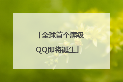 全球首个满级QQ即将诞生
