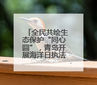 全民共绘生态保护“同心圆”，青岛开展海洋日执法宣传活动