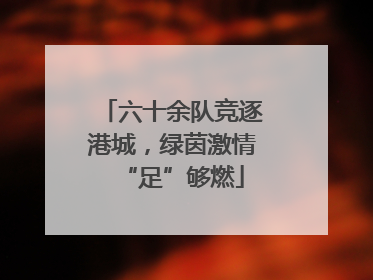六十余队竞逐港城，绿茵激情“足”够燃