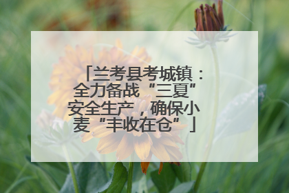 兰考县考城镇：全力备战“三夏”安全生产，确保小麦“丰收在仓”
