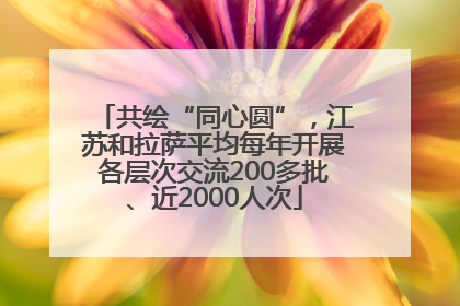 共绘“同心圆”，江苏和拉萨平均每年开展各层次交流200多批、近2000人次
