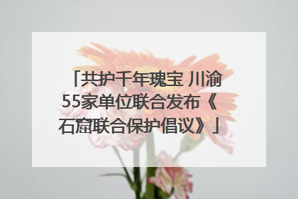 共护千年瑰宝 川渝55家单位联合发布《石窟联合保护倡议》