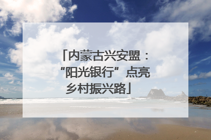 内蒙古兴安盟：“阳光银行”点亮乡村振兴路