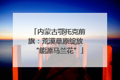 内蒙古鄂托克前旗：荒漠草原绽放“能源马兰花”