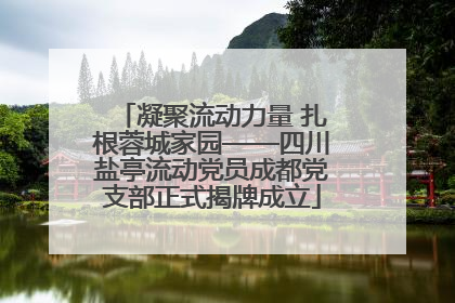 凝聚流动力量 扎根蓉城家园——四川盐亭流动党员成都党支部正式揭牌成立