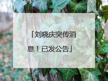 刘晓庆突传消息！已发公告
