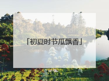 初夏时节瓜飘香