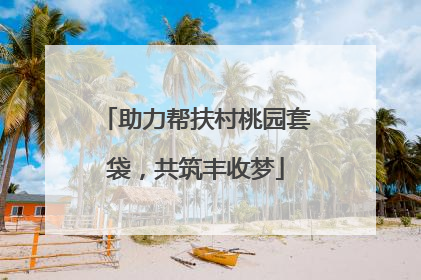 助力帮扶村桃园套袋，共筑丰收梦