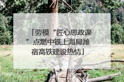 劳模“匠心思政课”点燃中铁上海局潍宿高铁建设热情
