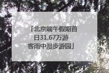 北京端午假期首日31.67万游客雨中漫步游园
