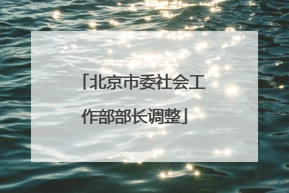 北京市委社会工作部部长调整