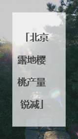 北京露地樱桃产量锐减