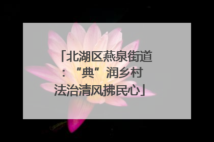 北湖区燕泉街道：“典”润乡村 法治清风拂民心
