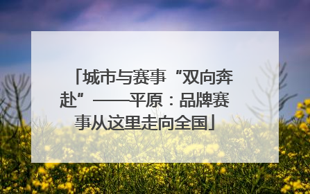 城市与赛事“双向奔赴”——平原：品牌赛事从这里走向全国