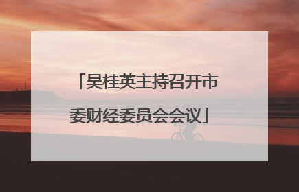 吴桂英主持召开市委财经委员会会议