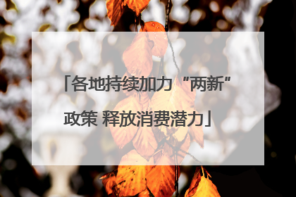 各地持续加力“两新”政策 释放消费潜力