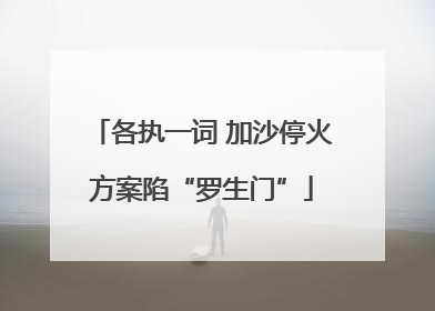 各执一词 加沙停火方案陷“罗生门”