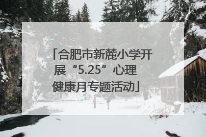 合肥市新麓小学开展“5.25”心理健康月专题活动