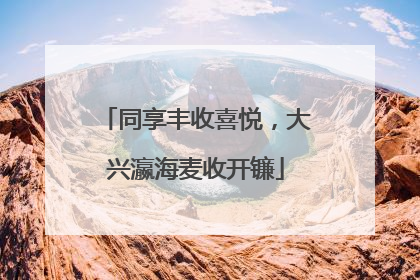 同享丰收喜悦，大兴瀛海麦收开镰