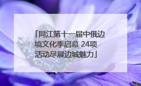 同江第十一届中俄边境文化季启幕 24项活动尽展边城魅力