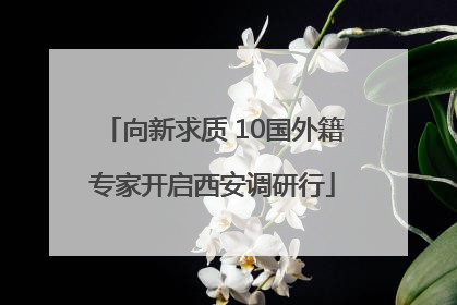 向新求质 10国外籍专家开启西安调研行