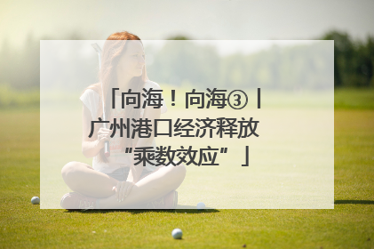 向海！向海③丨广州港口经济释放“乘数效应”