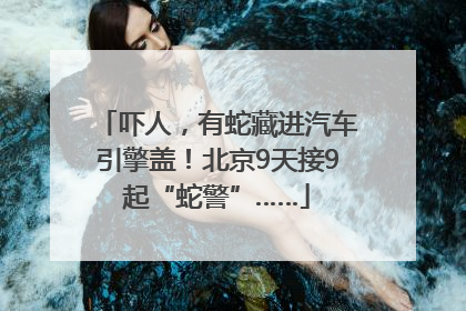 吓人，有蛇藏进汽车引擎盖！北京9天接9起“蛇警”……