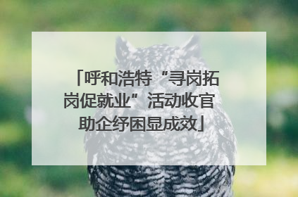 呼和浩特“寻岗拓岗促就业”活动收官 助企纾困显成效