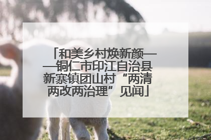 和美乡村焕新颜——铜仁市印江自治县新寨镇团山村“两清两改两治理”见闻