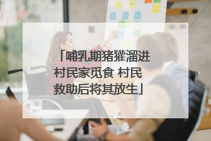 哺乳期猪獾溜进村民家觅食 村民救助后将其放生
