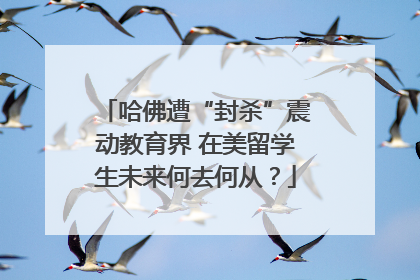 哈佛遭“封杀”震动教育界 在美留学生未来何去何从？
