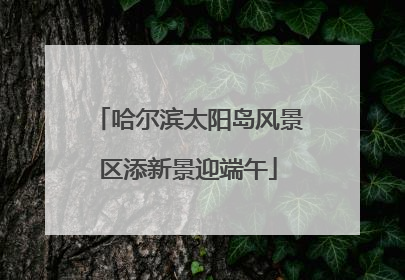 哈尔滨太阳岛风景区添新景迎端午