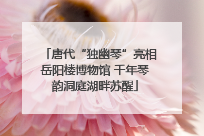 唐代“独幽琴”亮相岳阳楼博物馆 千年琴韵洞庭湖畔苏醒