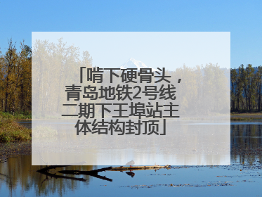 啃下硬骨头，青岛地铁2号线二期下王埠站主体结构封顶