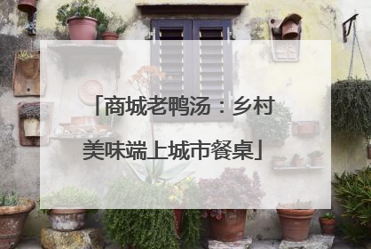 商城老鸭汤：乡村美味端上城市餐桌