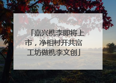 嘉兴槜李即将上市，净相村开共富工坊做槜李文创
