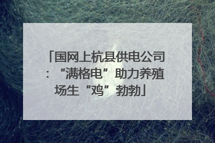国网上杭县供电公司：“满格电”助力养殖场生“鸡”勃勃